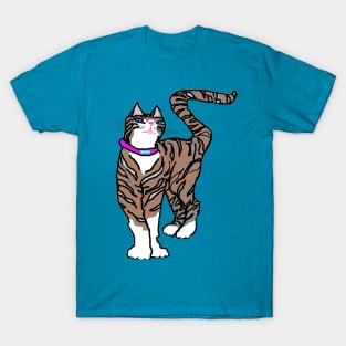 A Tabby Cat with Blue Eyes T-Shirt